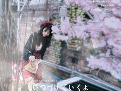 -柴犬高等学院·狗咖·柴犬售卖·宠物训练