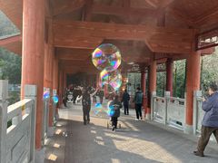-重庆彩云湖湿地公园