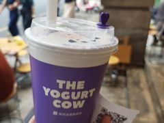 -一只酸奶牛(春熙路店)