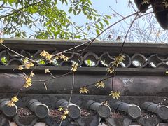 -钱王祠