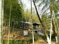 -陶祖圣境风景区