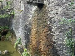 -老幺泉水鸡