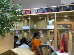 -屋虎猫馆(宝安大仟里店)