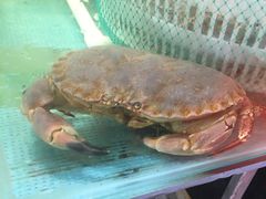 -AEON超市(永旺梦乐城泰达店)