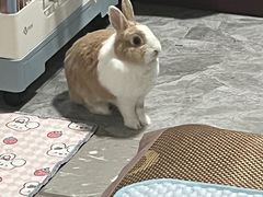 -吉友粥底火锅(方斜路店)