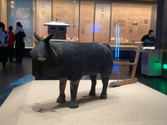 -广西壮族自治区博物馆