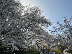 -杭州少年儿童公园