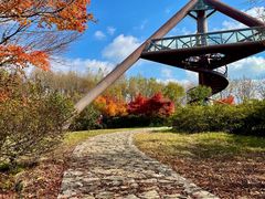 -贡湖湾湿地公园