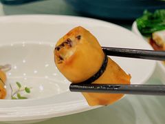 -千灯盛汇·头牌粤菜(致越优城店)