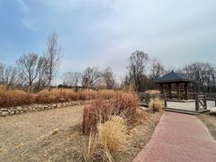 -野鸭湖国家湿地公园