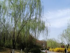 -南翠屏公园