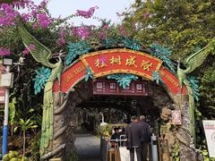 -独树成林