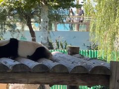 -西霞口神雕山野生动物世界