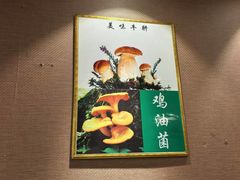 -菌之家·专业纯野生菌火锅·特色炒菌