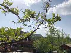 -九如山休闲旅游度假区