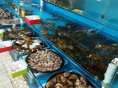 -港畔赶海蒸汽海鲜烧烤自助(仙螺岛店)