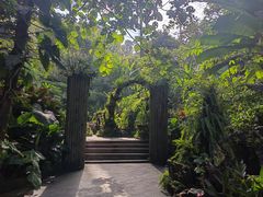 -野象谷景区