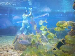 -沙沙哗啦海洋馆(华宇百花谷店)