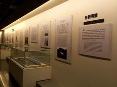 -赵州桥景区