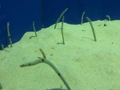 -上海海洋水族馆