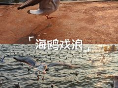 -嘉华鲜花饼·现烤(昆明老街店)