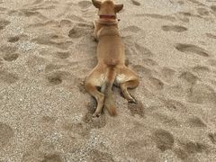 -白沙湾海滩