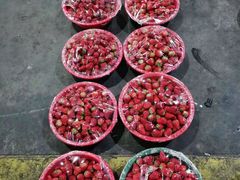 -西郊国际农产品交易中心