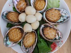 -天鹅到家·保姆月嫂育儿嫂(朝阳店)