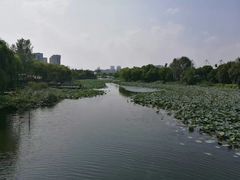 -新江湾城公园