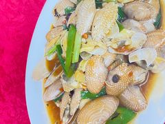 -蛇口康乐快餐鱼仔档(翠苑小区店)