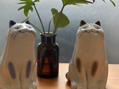 -猫里有甜