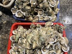 -蚝抵食·湛江生蚝(湾北路店)
