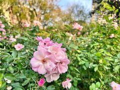 -人民公园(罗湖区)