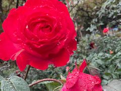 -人民公园(罗湖区)