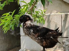 -团结湖公园