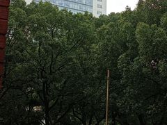 -上海交通大学医学院附属瑞金医院(总院)