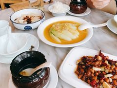 -陈麻婆豆腐总店