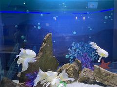 -绿色星球动物主题公园