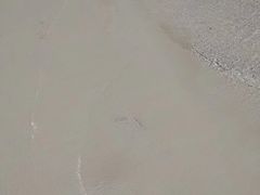 -白沙滩