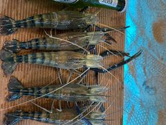 -桃源乐钓虾馆(松岗概念店)