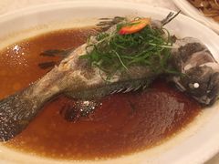 -御满江海鲜酒家(洛溪新城店)