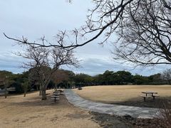 -雪绿茶博物馆