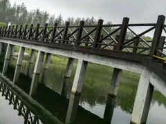 -黄海国家森林公园