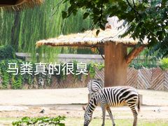 -北京动物园