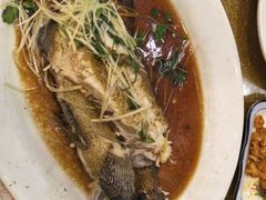 -糖朝(尖沙咀店)