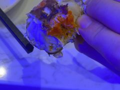 -半岛听涛蒸汽海鲜自助(K11店)