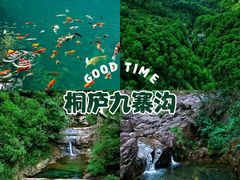-大奇山国家森林公园