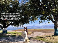 -洱海月湿地公园