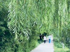 -元大都城垣遗址公园