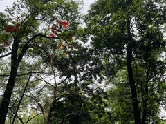 -广州市白云山风景名胜区